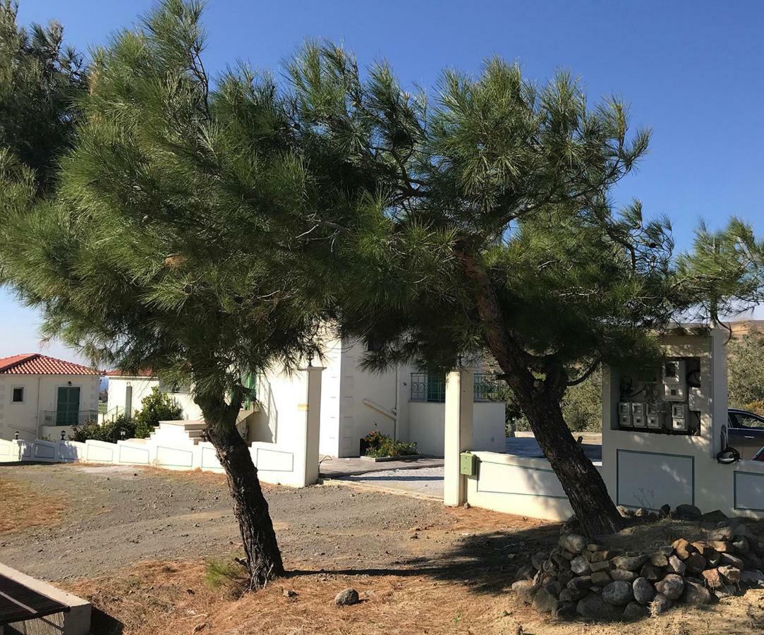 Ampeloessa Village Kornos Exterior foto